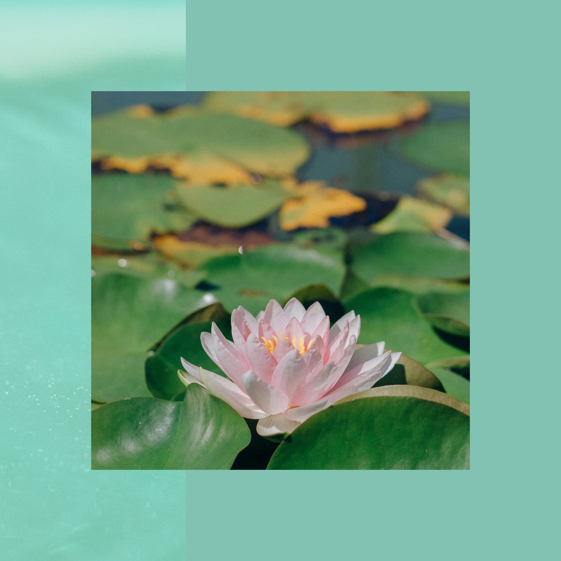 Aqua Rêve • 100ml