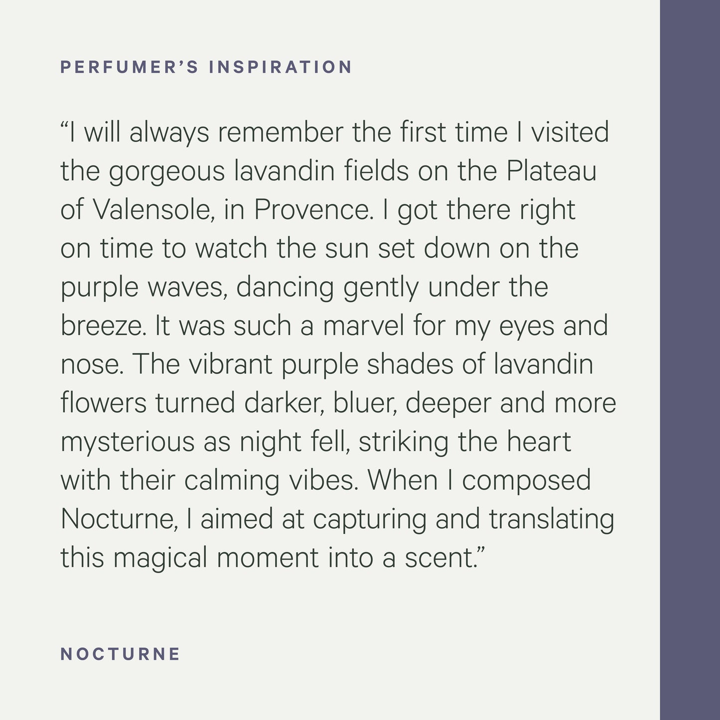Large Scented Candle — Nocturne
