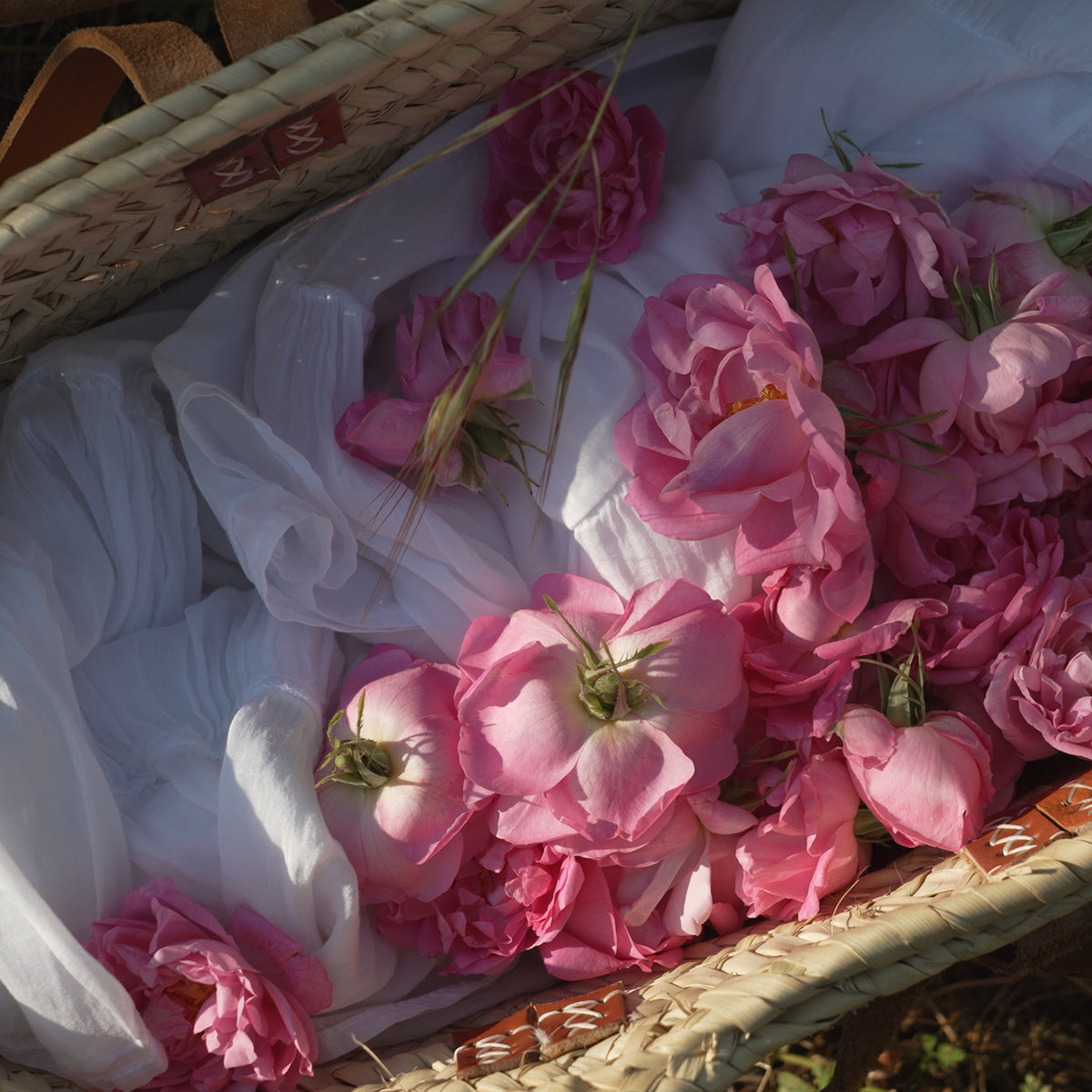 Rose et Moi • 100ml