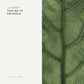 La Forêt