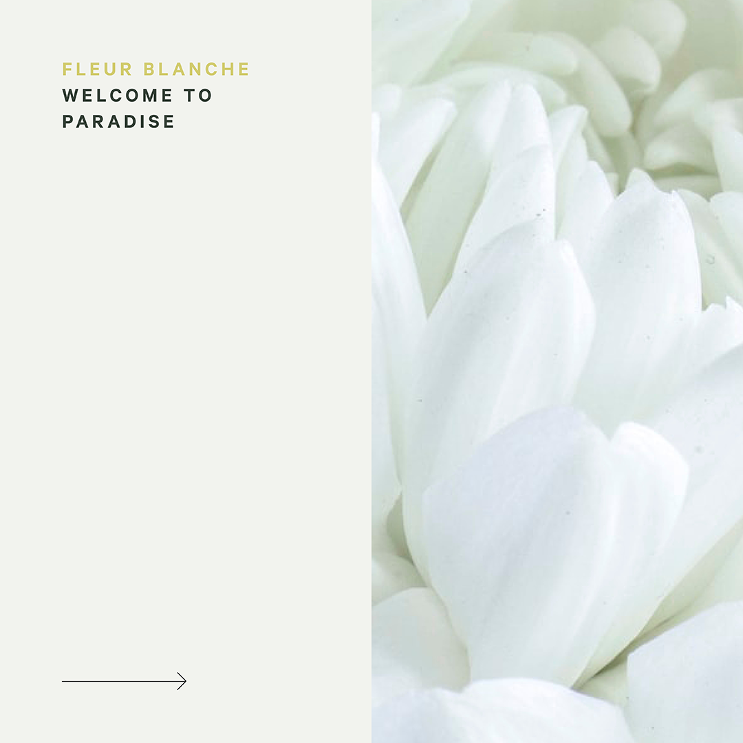 Fleur Blanche