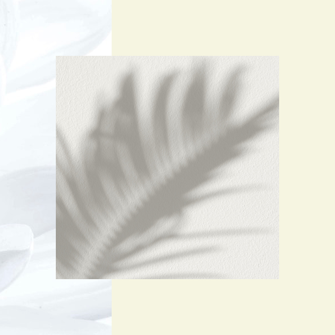 Fleur Blanche